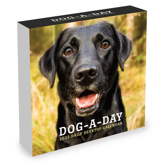 TF Publishing 2023 DogADay Daily Desktop Calendar Michaels